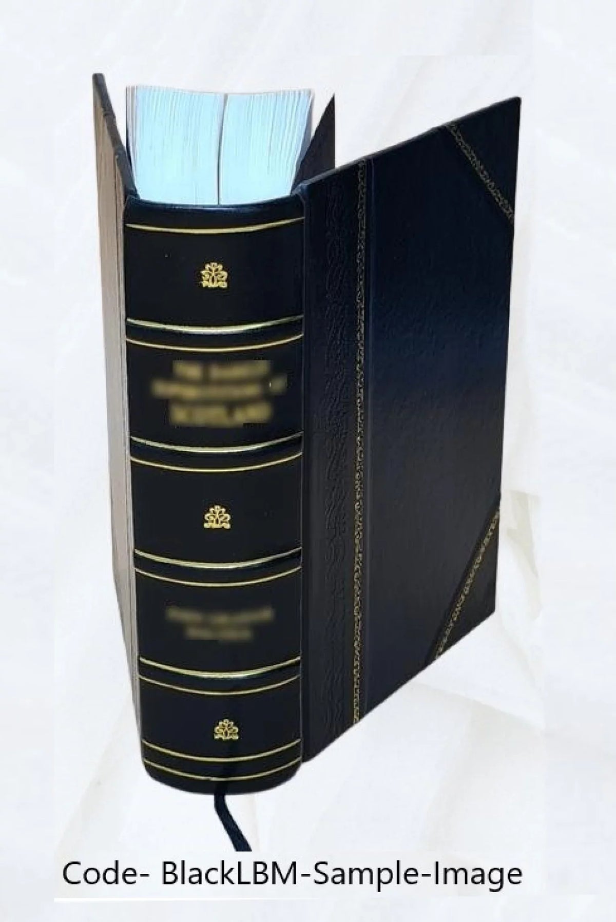 Volume H-400 P. 1900, (Soundex) of - [Index United Cyrus M. Kentucky] to States, schedules population the of - [Leather census KENTUCKY the H.-H-430 twelfth 1900 the Bound] T1047