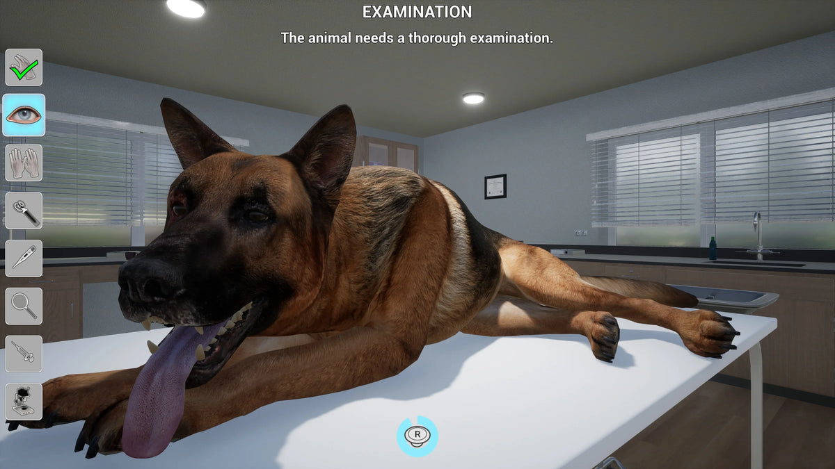 My PlayStation Vet, Pet 5 Life: