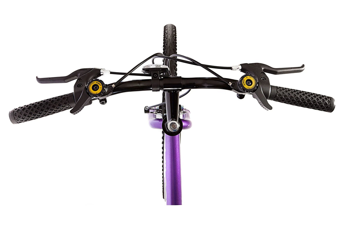 Black Wildcat Bike, Mountain 18-Speed Titan Women's Purple and