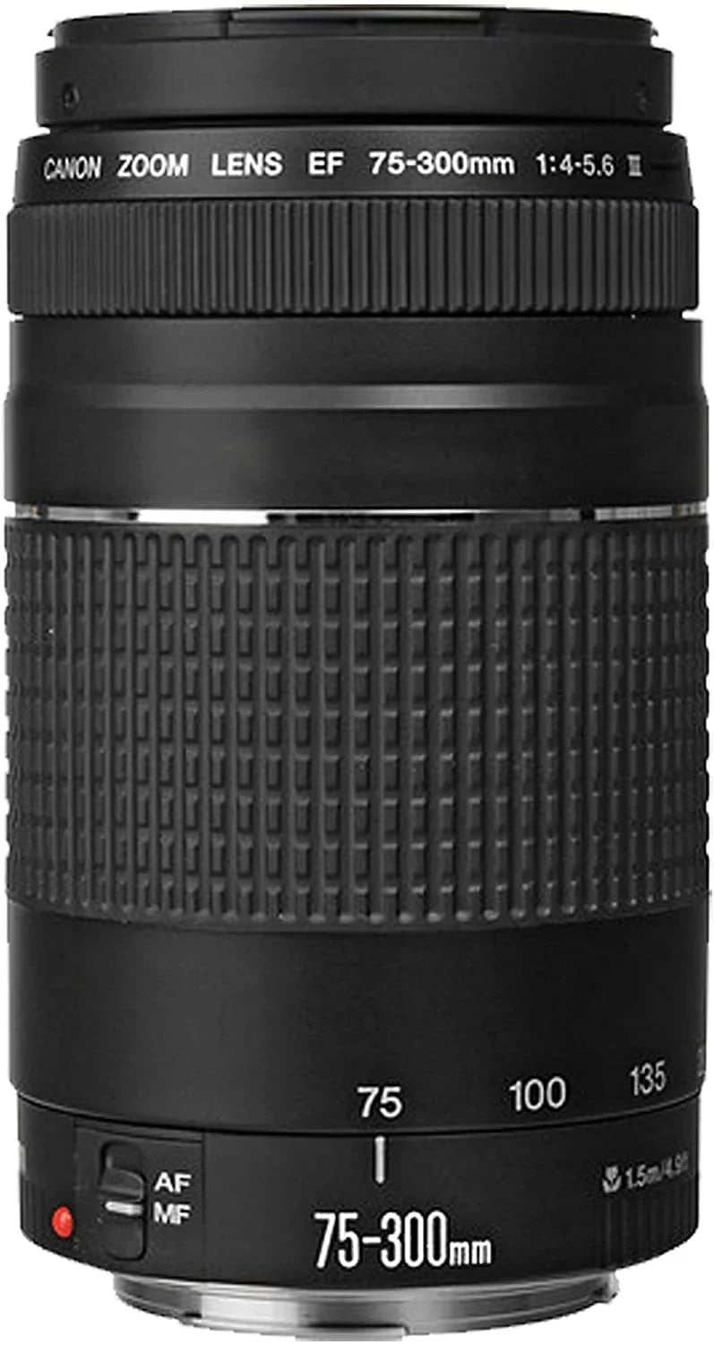f/4-7.1 Case Memory Lens Lens F/4-5.6 III 75-300mm EOS Lens 128GB 43pc Mirrorless Tripod + Digital RF 24-105mm + f/1.8 Bundle STM STM Filters with + + Canon + 50mm Camera + R6