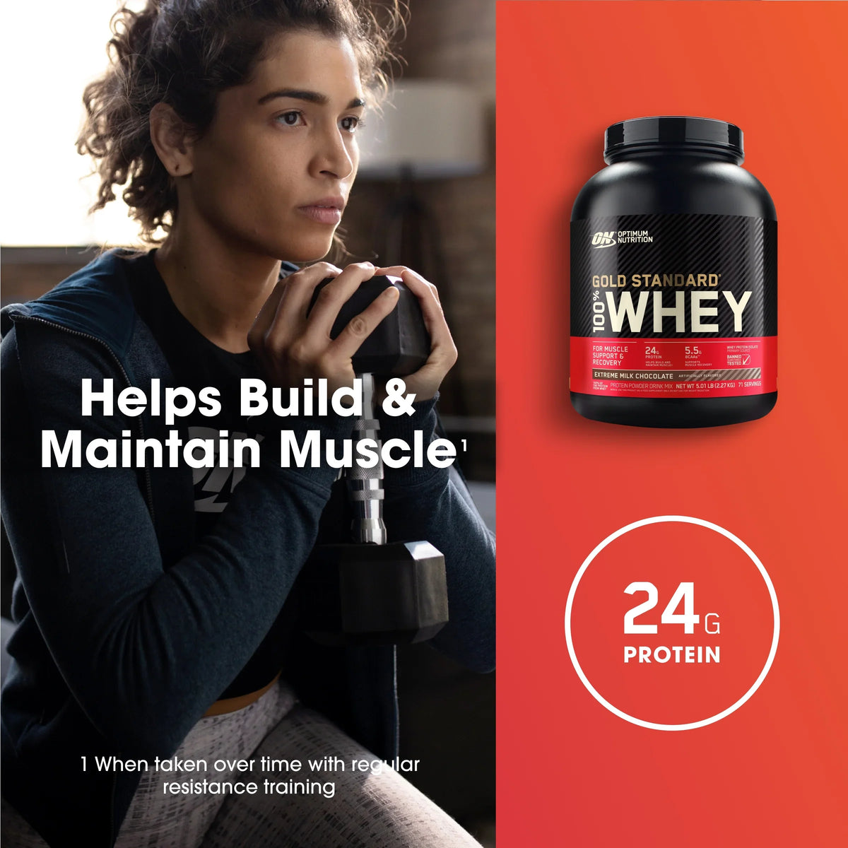 Standard Nutrition, Optimum 5 71 Chocolate, Powder, 100% Gold Extreme Milk Whey Protein Servings lb,