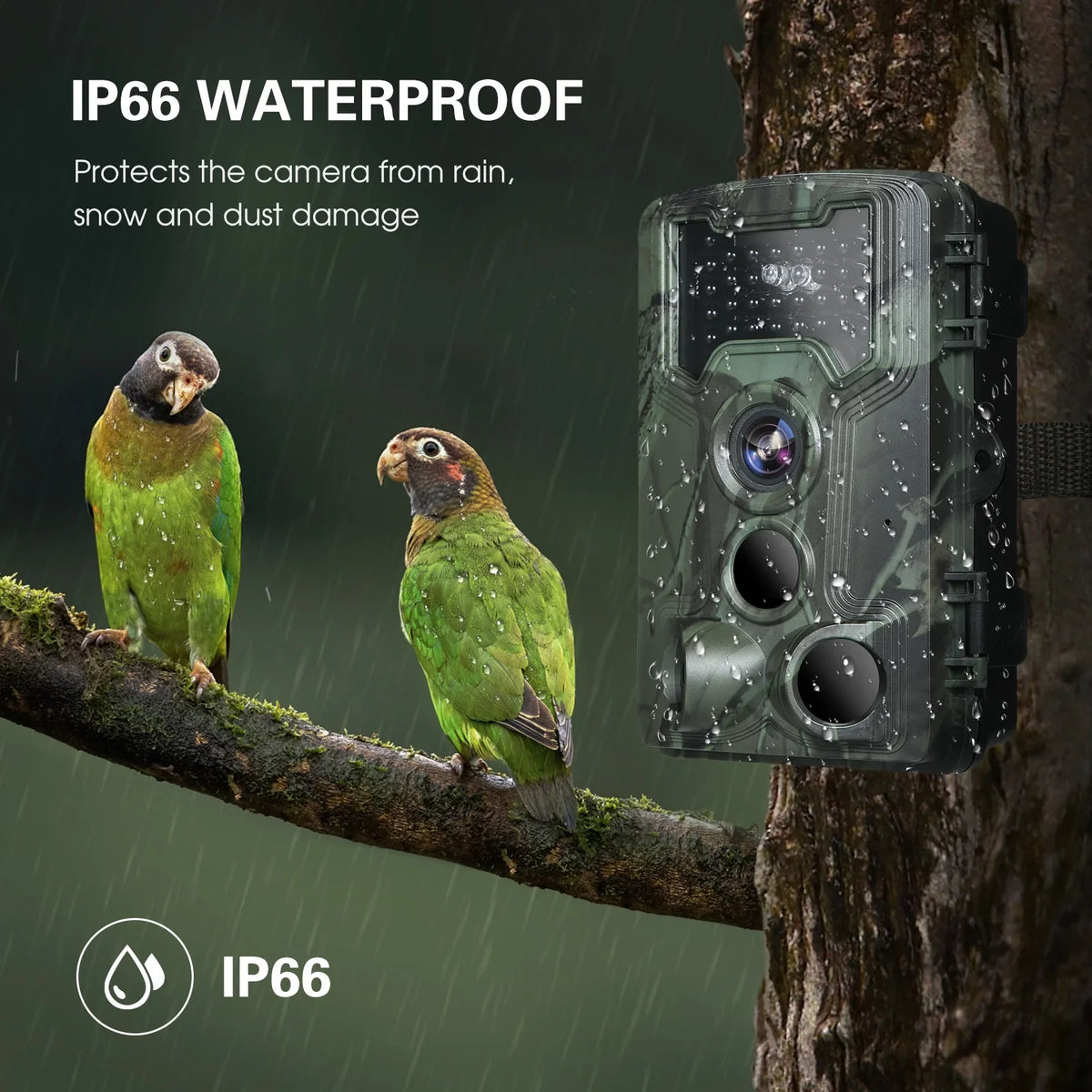 Trail Camera, Researching Waterproof and 36MP Game for Vision Wildlife 1080P Camera Night
